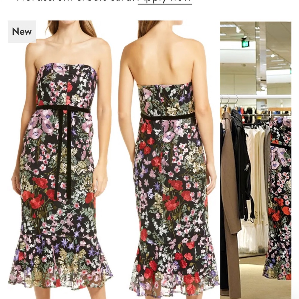 Sam Edelman Embroidered Mesh Sleeveless Dress
